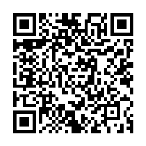 一年所能杀死的妖蛮可能连两界山战场上一天死亡的妖蛮都不到二维码生成
