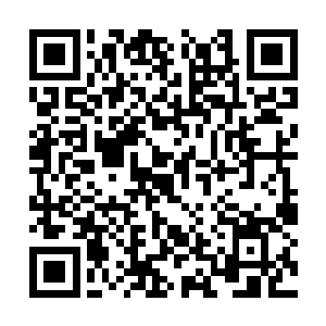 一年数百万的挥霍在很多人眼里已经是天文数字了二维码生成