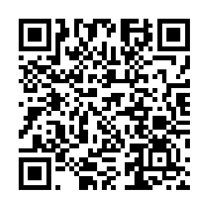 一年级的学生里能保证不输给白奇雪的人也就只有小秋了二维码生成