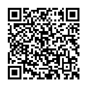 一年级的新生们忽然有了一种无与伦比的自豪感二维码生成