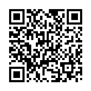 一年这里产出的金丝樱桃总共有七万多斤……二维码生成