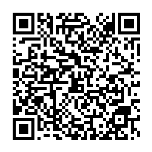 一座恐怖的气势恢宏的美轮美奂的宫殿群也出现在了龙傲天的视线之中二维码生成