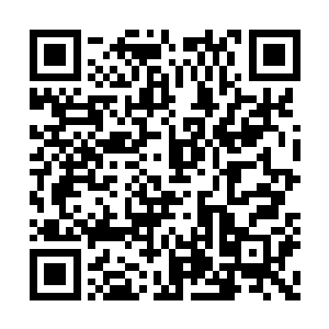 一开始听到林铭这个名字的时候都没有放在心上二维码生成