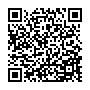 一开始大家还以为洪大力要砸五千万进去也就是说着玩二维码生成