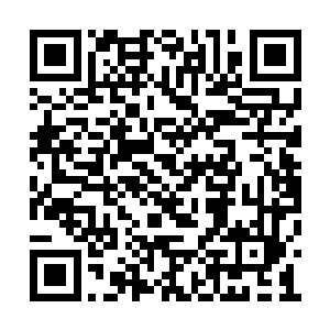 一开始弟子也没想到那滴精血中的龙力那般浑厚二维码生成