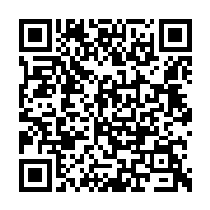 一开始当然有很多人不相信外面的世界完全毁灭二维码生成