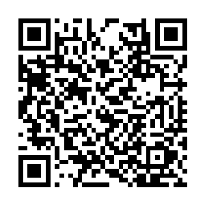 一开始自己进入青龙帝国当芸公主的时候多么困难二维码生成