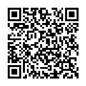 一张魅惑无双的容颜早已经泛着可怕的青紫之色二维码生成