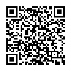 一心想在这乱世大干一番事业的魏豹这下傻眼了二维码生成