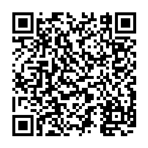 一心想把部落弄的更大更好的老祭祀恨不得凌菲把这里所有的东西都鉴定出来二维码生成