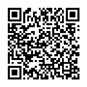 一想到暗幽林当年希翼恳求自己带她离开的眼神二维码生成
