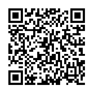 一想到自己将要对付的神王已经进入了神级领域二维码生成