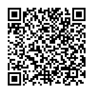 一想到苏澈回来发现杜遥连带着圆胖一起不见了跑来质问他的情景二维码生成