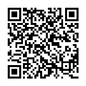 一想到那位据说背上几十万春秋怨鬼阴魂不散的大柱国二维码生成