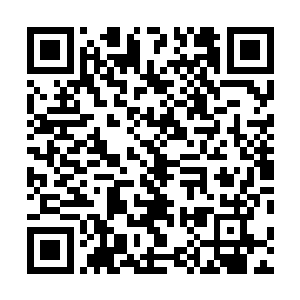 一想起书房里那一大堆关于女儿名字的纸堆她就脑门发疼二维码生成