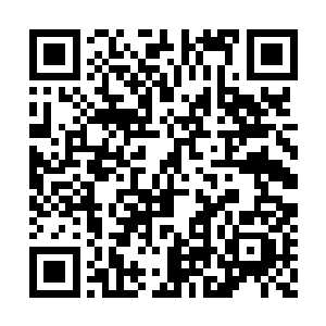 一想起整个上古墓葬里藏有关于天启之书的秘密二维码生成