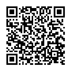 一截闪着寒光的锐利箭头一下子就从厚实的桌面下穿透过一半二维码生成