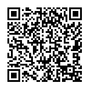 一把兜住火影宫的那两个无极境初期真君和十几个一元境后期高手二维码生成