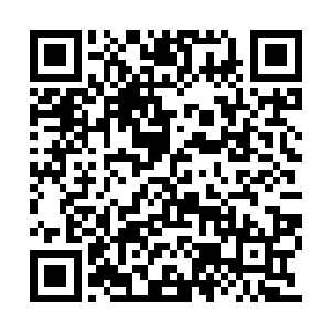 一把抢过它手里那只比小幼崽脑袋还大的大海碗二维码生成