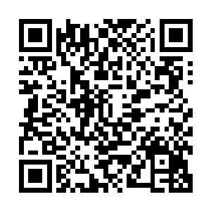 一把接住桃木剑然后一剑便洞穿了眼前站在我面前师兄的头颅二维码生成