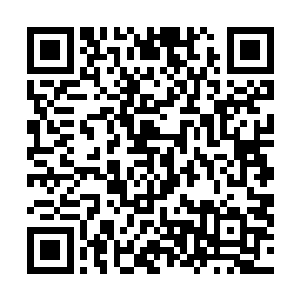 一把跟贯虹枪相差无几的紫乌色长枪出现在了林铭的手中二维码生成