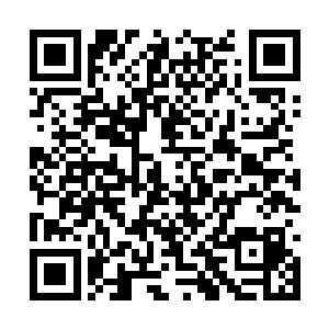 一把飞剑将向张潇晗包围过来的狼兽蝠斩成若干块二维码生成