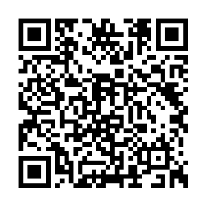 一抹无法掩饰的惊骇欲绝迅速爬上了他们的脸庞二维码生成