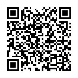 一招五阶的天降玄火赶在区长镜吟唱完成之前抛了出来二维码生成