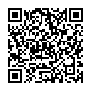 一摞摞的锁链兜着一块块巨大的贝壳挂在海底悬崖上二维码生成