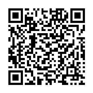 一整天都属于死机状态……要命……嘤嘤嘤……晚安小伙伴们二维码生成