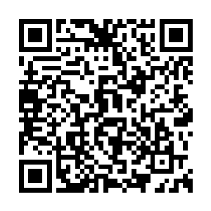 一整条右手臂更是瞬间被血红色的滚烫气流笼罩二维码生成