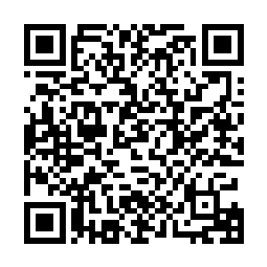 一整片的石鸟拖着乳白色的光迅速聚到猴子与镇元子之间二维码生成