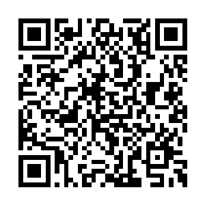 一方是背后站着宗辅宗弼的忽鲁勃极烈完颜宗干二维码生成