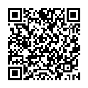 一方面当然是因为本部这样实力雄厚的竞争对手真的很多二维码生成