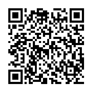 一方面看着这个危险的高度她担心得五脏六腑揪作一团二维码生成