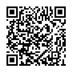 一旁刚套了一个袖子的思思有些急切地叫了起来二维码生成