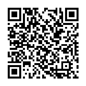 一旁才杀死了巨蟒的星土忙飞身上前一把拉过云逸二维码生成