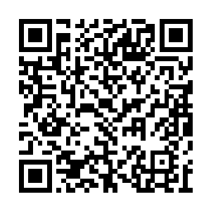 一旁斟酒的红袖和红拂亦双双摔掉了手上的酒壶二维码生成