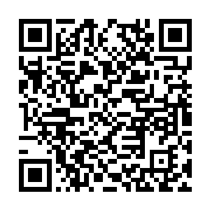 一旁的李二娃实在是有些受不了吴虎臣和白淑倩了二维码生成
