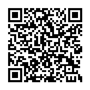 一旁的素素和吴嬷嬷看着我脸上的表情变化万千二维码生成