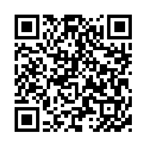 一旦今天洛家人在皇城之内受到任何闪失二维码生成