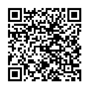 一旦他察觉到有人在追踪他或者追查打听他的血脉后裔二维码生成