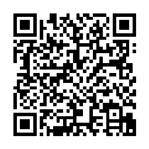 一旦受损在这下界想要修复比起修真人士不知道要困难多少倍二维码生成