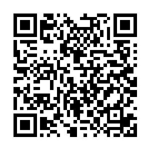 一旦在东广行省这一市场内被方圆这种巨无霸挤压二维码生成