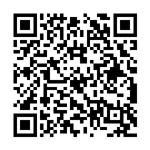 一旦无法通过东临嫣雪九大扈从的身份进入圣光塔二维码生成