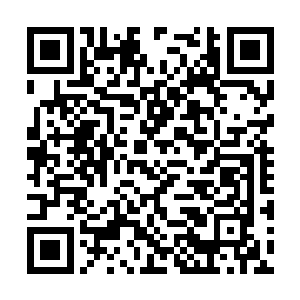 一旦朱晋岩或者是别的什么自己不喜欢的人当选了二维码生成