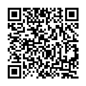 一旦猎物想办法将自身温度降至和周遭环境相同二维码生成