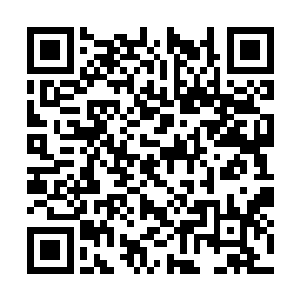一旦离阳朝廷在未来的凉莽战事中打定主意拖后腿二维码生成