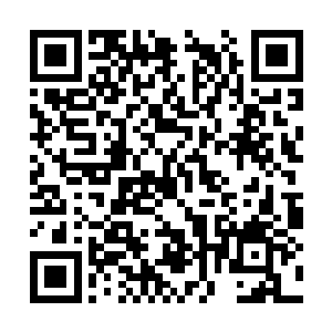 一旦薛静依弹错某个音符就会厉声要求她停下重来二维码生成