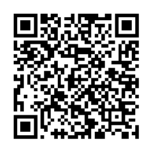 一旦被高等贵族以洪大力的朋友或者是恋人的身份抓住二维码生成